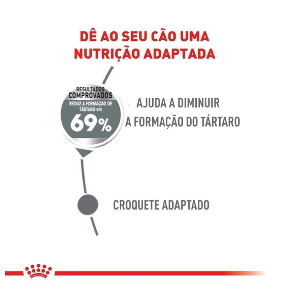 Ração Seca Royal Canin Mini Cuidado Dental para Cães Adultos de Porte Pequeno - 2,5 Kg