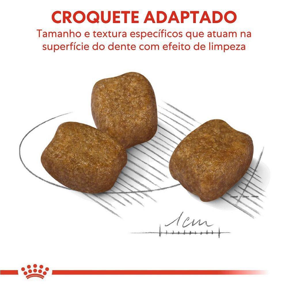 Ração Seca Royal Canin Mini Cuidado Dental para Cães Adultos de Porte Pequeno - 2,5 Kg