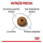 Ração Seca Royal Canin Controle do Apetite para Gatos Adultos - 1,5 Kg