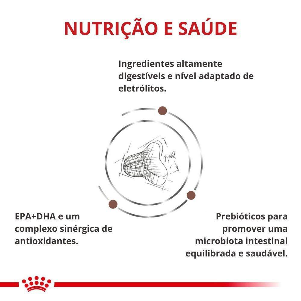 Ração Seca Royal Canin Veterinary Diet Hepatic para Gatos Adultos com Insuficiência Hepática Crônica - 1,5 Kg