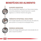 Ração Seca Royal Canin Veterinary Diet Hepatic para Gatos Adultos com Insuficiência Hepática Crônica - 1,5 Kg