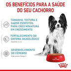 Ração Úmida Royal Canin X-Small Puppy para Cães de 2 a 10 Meses 85 g