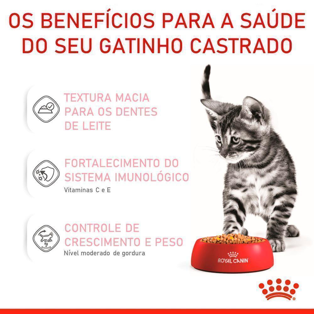 Ração Úmida Royal Canin Sachê Jelly para Gatos Filhotes Castrados de até 12 meses - 85 g