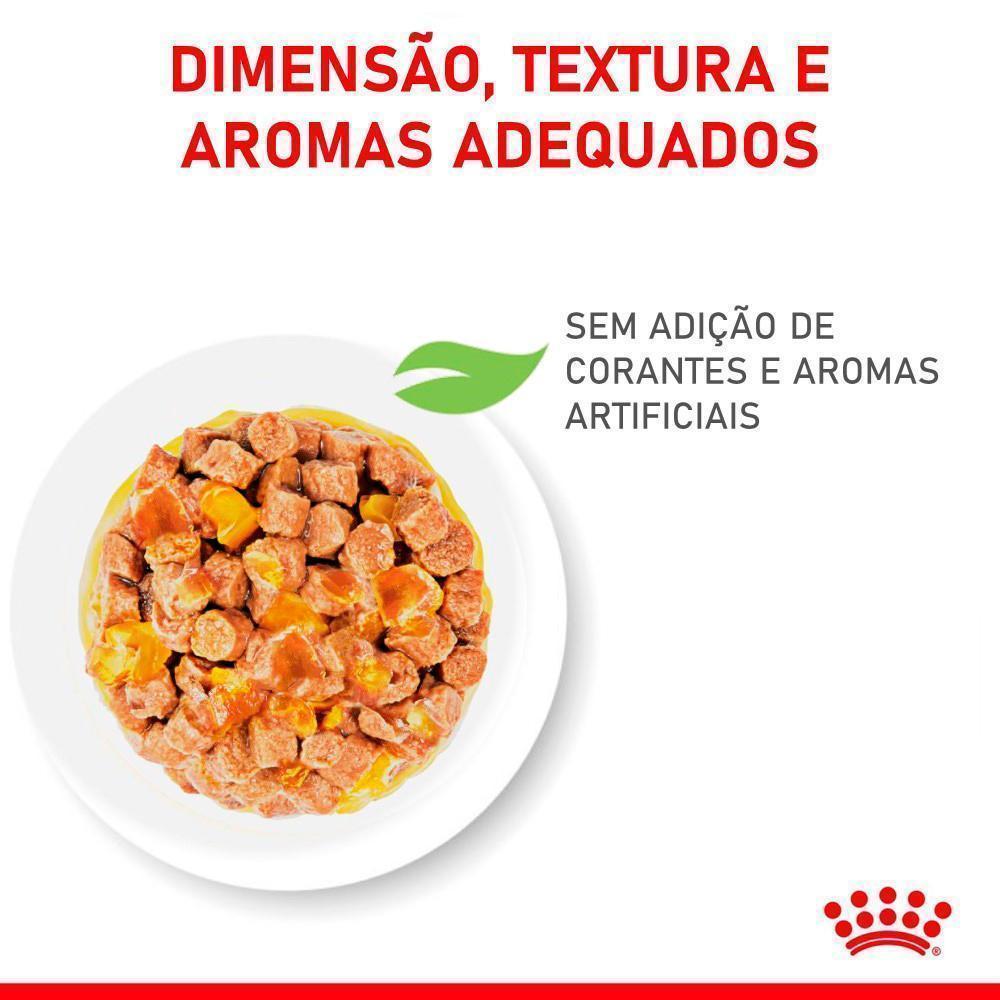 Ração Úmida Royal Canin Sachê Jelly para Gatos Filhotes Castrados de até 12 meses - 85 g