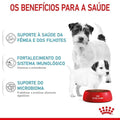 Ração Seca Royal Canin Starter Mother & Babydog Mini para Fêmeas gestantes/lactantes e Filhotes de 1 a 2 Meses de Idade - 1 Kg