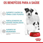 Ração Seca Royal Canin Starter Mother & Babydog Mini para Fêmeas gestantes/lactantes e Filhotes de 1 a 2 Meses de Idade - 1 Kg