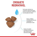 Ração Seca Royal Canin Starter Mother & Babydog Mini para Fêmeas gestantes/lactantes e Filhotes de 1 a 2 Meses de Idade - 1 Kg