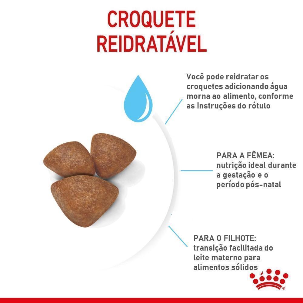 Ração Seca Royal Canin Starter Mother & Babydog Mini para Fêmeas gestantes/lactantes e Filhotes de 1 a 2 Meses de Idade - 1 Kg