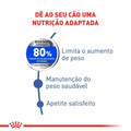 Ração Seca Royal Canin Medium Light para Cães Adultos ou Idosos de Porte Médio com Tendência à Obesidade - 10,1 Kg
