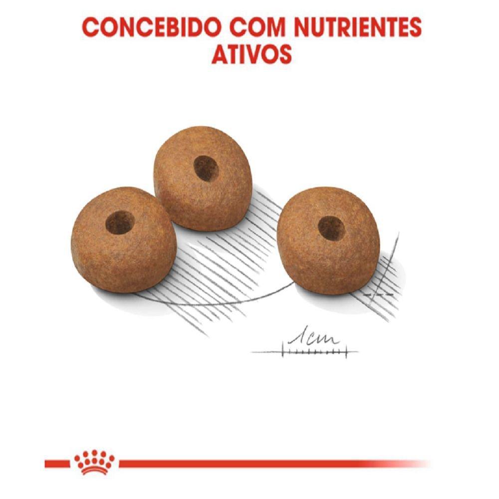 Ração Seca Royal Canin Medium Light para Cães Adultos ou Idosos de Porte Médio com Tendência à Obesidade - 10,1 Kg