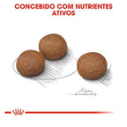 Ração Seca Royal Canin Cuidado Digestivo para Cães Adultos de Porte Médio a partir de 12 meses de idade - 10,1 Kg