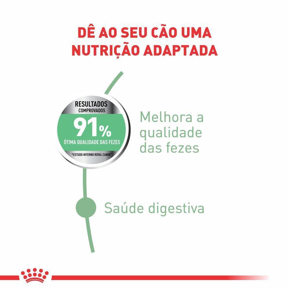 Ração Seca Royal Canin Cuidado Digestivo para Cães Adultos de Porte Médio a partir de 12 meses de idade - 10,1 Kg