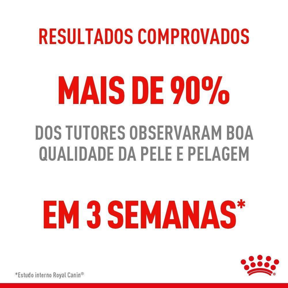 Ração Seca Royal Canin Pele e Pelagem para Gatos Adultos - 3 Kg