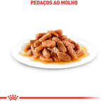 Ração Úmida Royal Canin Sachê Patê Cuidado Digestivo para Gatos Adultos - 85 g