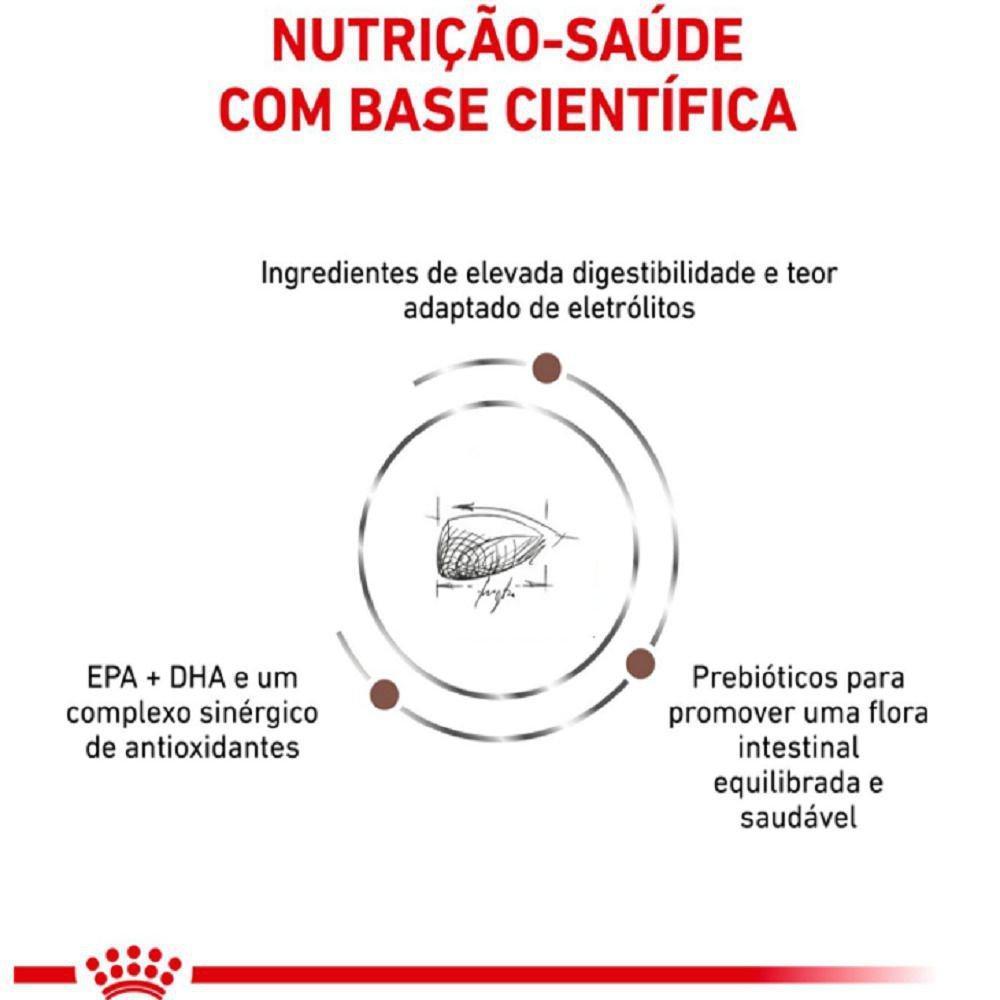 Ração Seca Royal Canin Veterinary Diet Gastrointestinal Gatos com Doenças Intestinais - 400 g