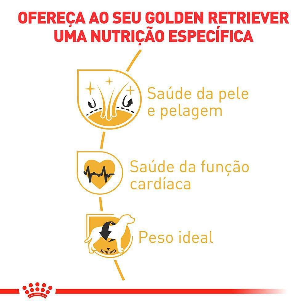 Ração Royal Canin para Cães Adultos da Raça Golden Retriever - 10,1kg