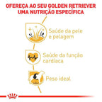 Ração Royal Canin para Cães Adultos da Raça Golden Retriever - 10,1kg
