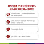 Ração Seca Royal Canin Medium Adult 7+ para Cães Adultos de Porte Médio com 7 Anos ou mais - 12 KG