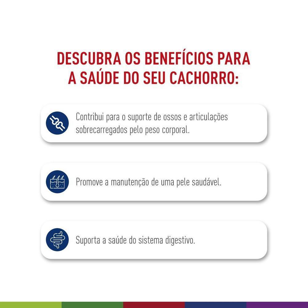 Ração Seca Royal Canin Maxi Adult para Cães Adultos de Porte Grande - 12 KG