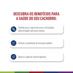 Ração Seca Royal Canin Maxi Adult para Cães Adultos de Porte Grande - 12 KG