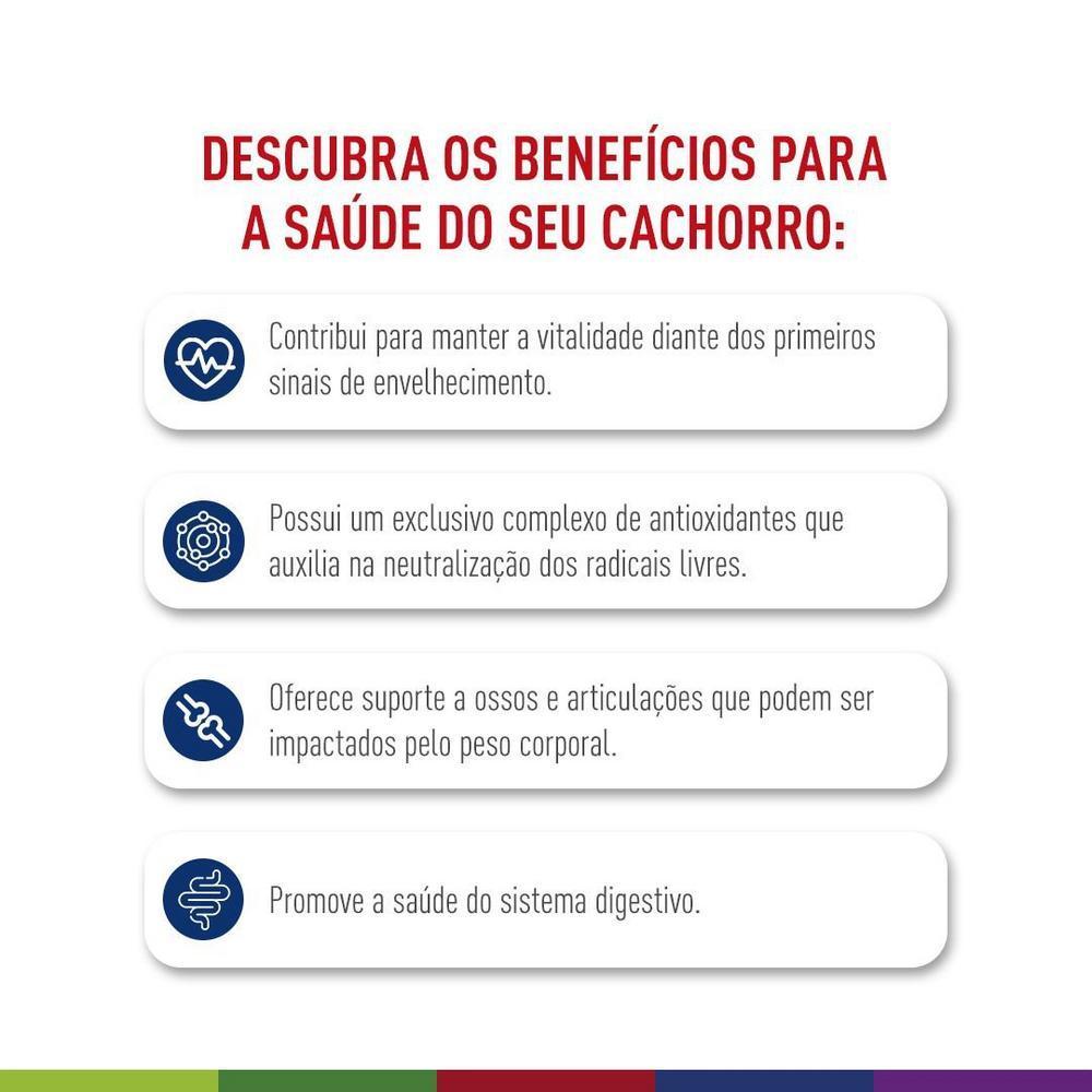 Ração Seca Royal Canin Maxi Adult 5+ para Cães Adultos de Porte Grande com 5 Anos ou mais - 12 KG