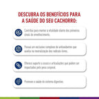 Ração Seca Royal Canin Maxi Adult 5+ para Cães Adultos de Porte Grande com 5 Anos ou mais - 12 KG