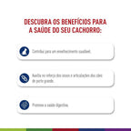 Ração Seca Royal Canin Maxi Ageing 8+ para Cães Idosos de Porte Grande com 8 Anos ou mais - 12 KG