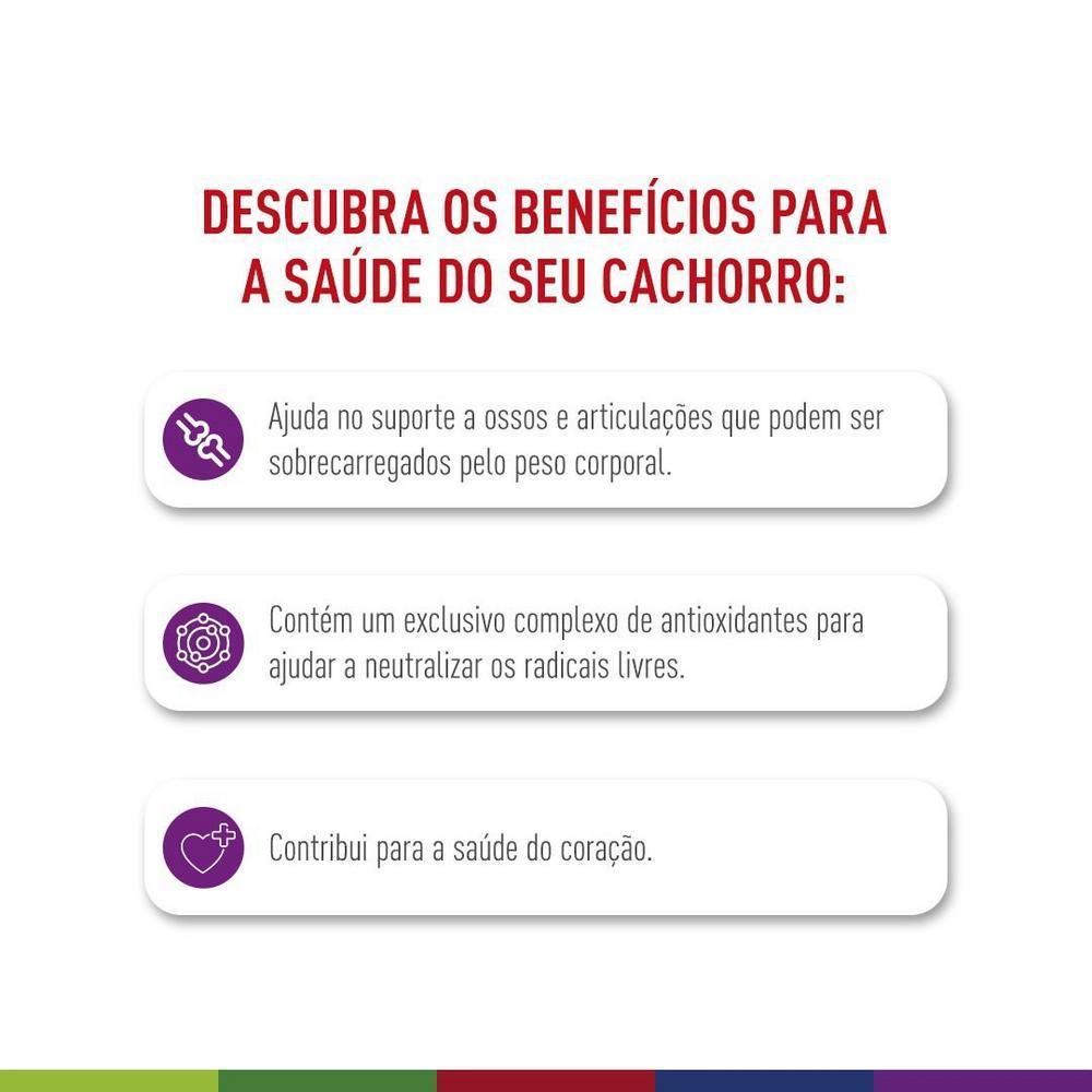 Ração Seca Royal Canin Giant para Cães Adultos ou Idosos de Raças Gigantes - 12 KG