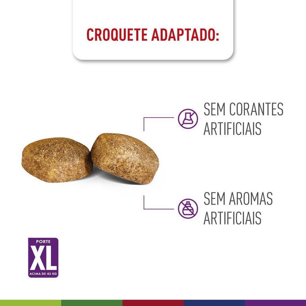Ração Seca Royal Canin Giant para Cães Adultos ou Idosos de Raças Gigantes - 12 KG