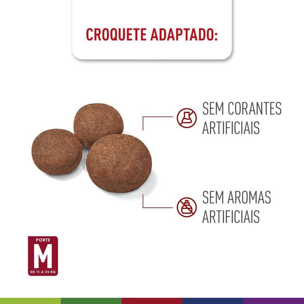 Ração Seca Royal Canin Medium Puppy para Cães Filhotes de Porte Médio - 12 KG