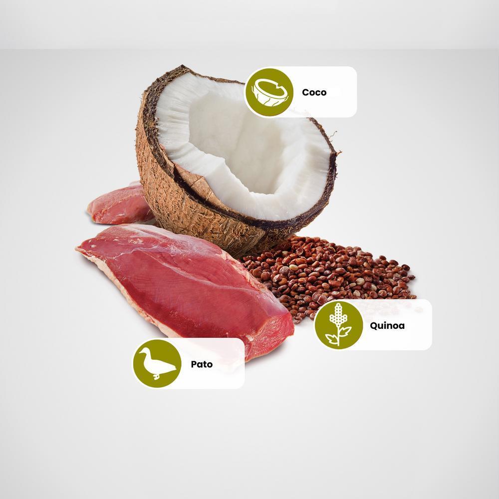 N&D Quinoa para Cães Adultos de Todas as Raças Sabor Quinoa, Coco e Pato 140g