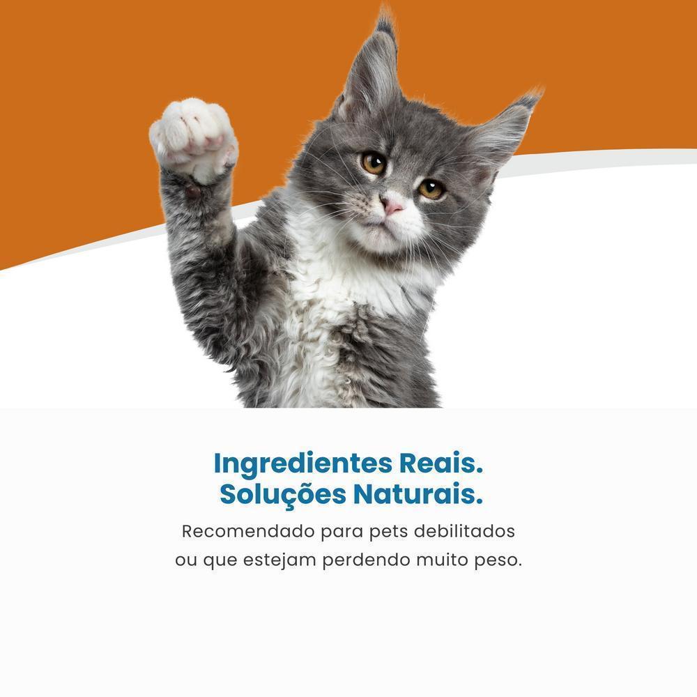 Vet Life Convalescence para Gatos Adultos de Todas as Raças 85g