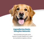 Vet Life Hepatic para Cães Adultos de Todas as Raças 300g