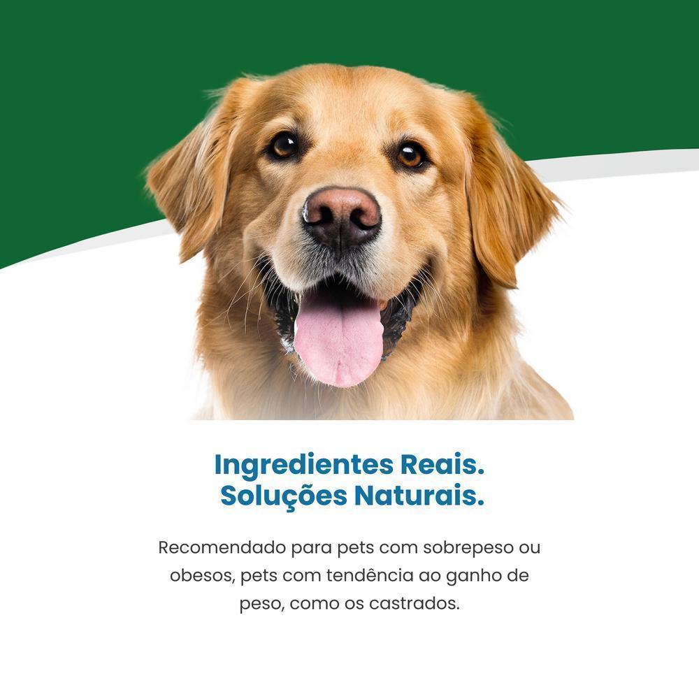 Vet Life Obesity para Cães Adultos de Todas as Raças 300g