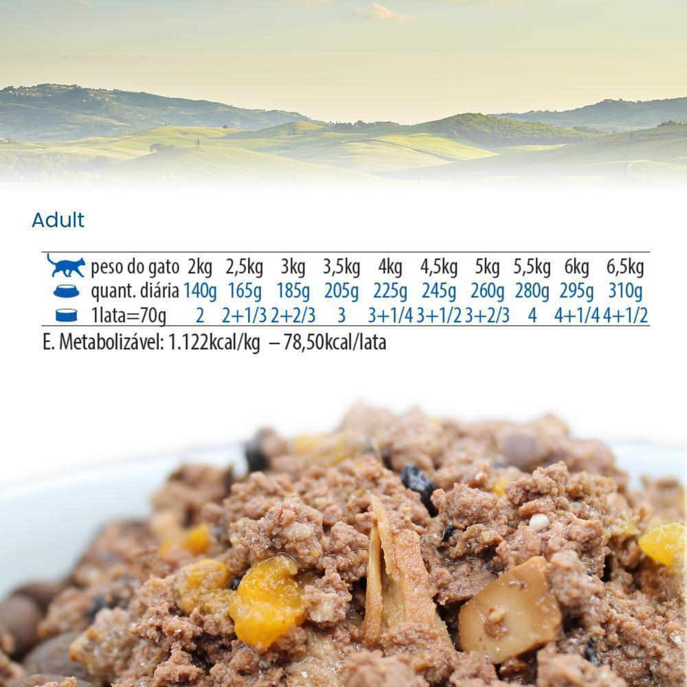 N&D Pumpkin para Gatos de Todas as Raças Sabor Abóbora, Cordeiro e Blueberry 70g
