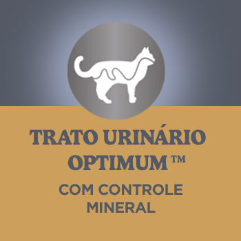 Optimum - quadrado A2 (mobile)