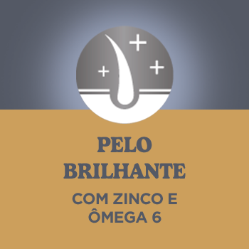 Optimum - quadrado B1 (mobile)