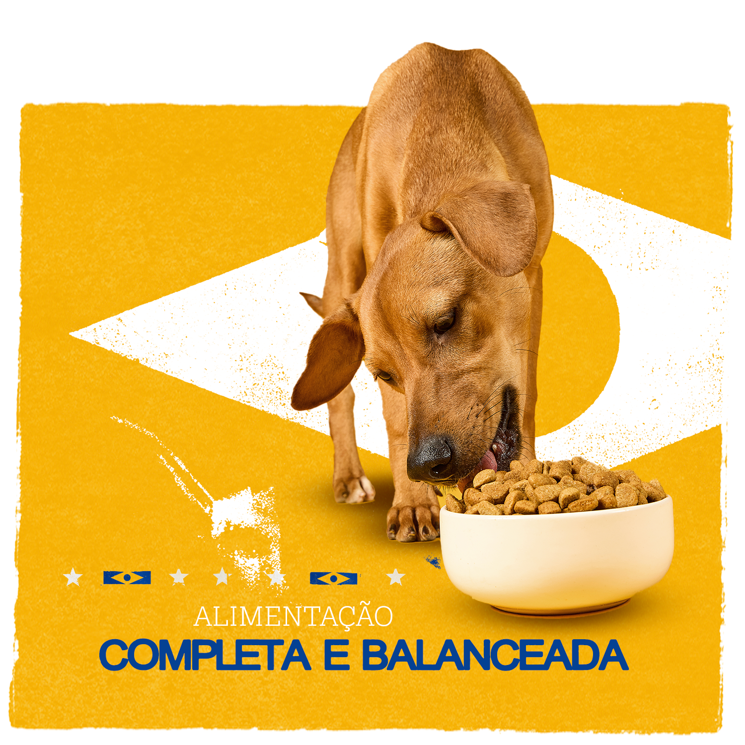 Pedigree - quadrado 3.1