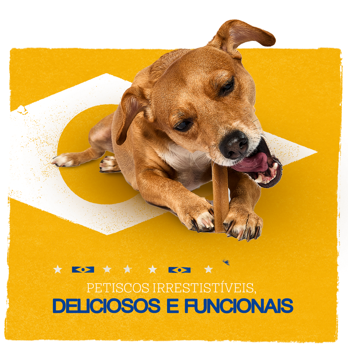 Pedigree - quadrado 3.3