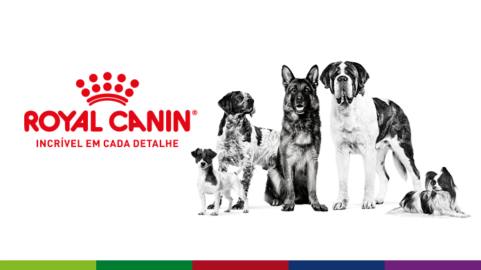Royal Canin - banner 2