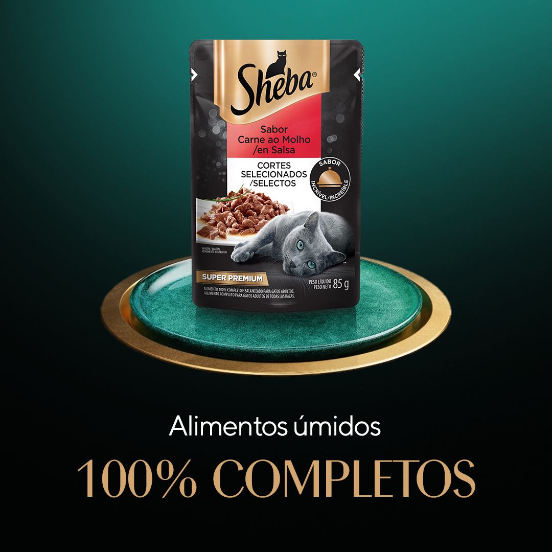 Sheba - quadrado 3