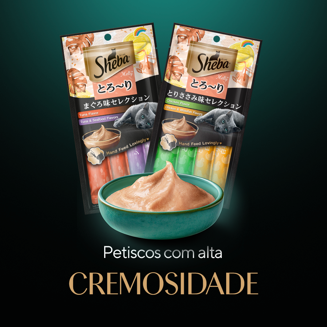 Sheba - quadrado 4